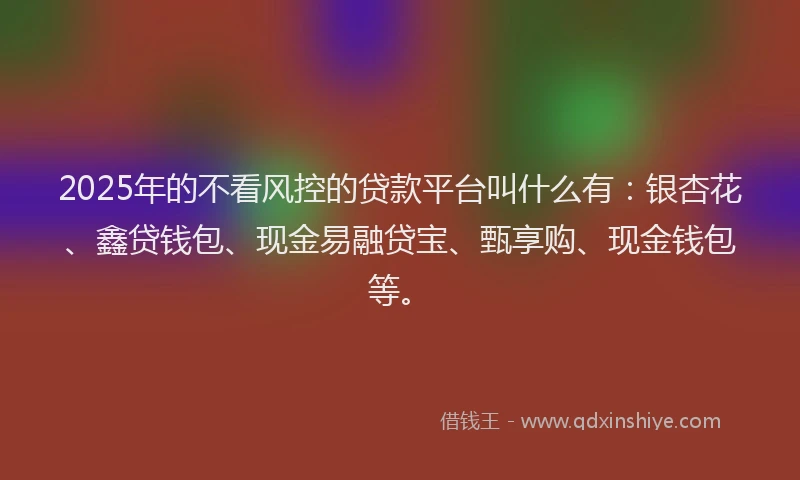 2025年的不看风控的贷款平台叫什么有：银杏花、鑫贷钱包、现金易融贷宝、甄享购、现金钱包等。