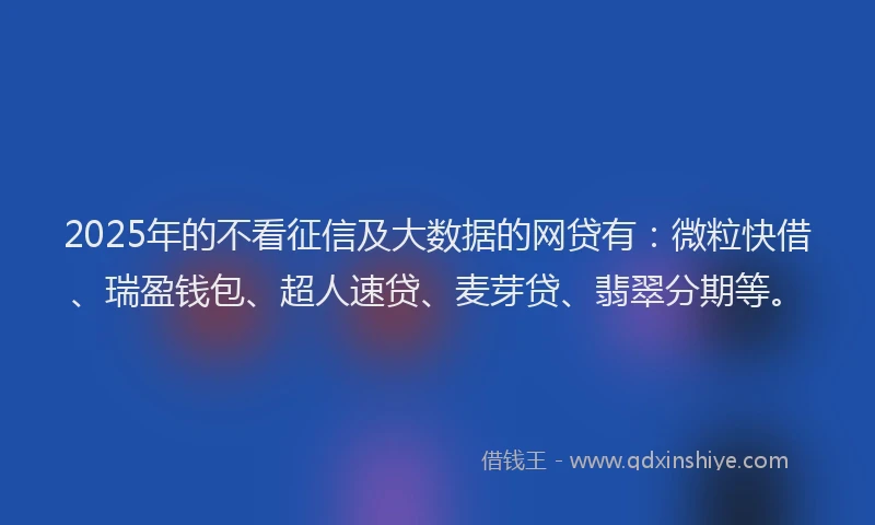 2025年的不看征信及大数据的网贷有：微粒快借、瑞盈钱包、超人速贷、麦芽贷、翡翠分期等。