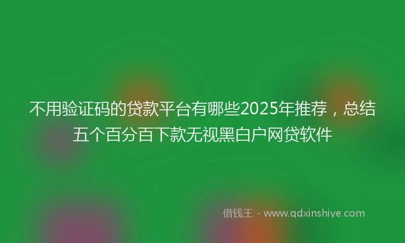 不用验证码的贷款平台有哪些2025年推荐，总结五个百分百下款无视黑白户网贷软件