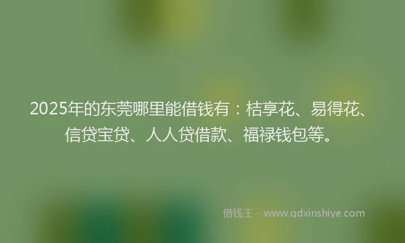 2025年的东莞哪里能借钱有：桔享花、易得花、信贷宝贷、人人贷借款、福禄钱包等。