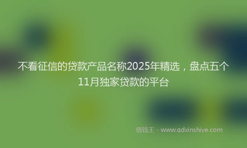 不看征信的贷款产品名称2025年精选，盘点五个11月独家贷款的平台
