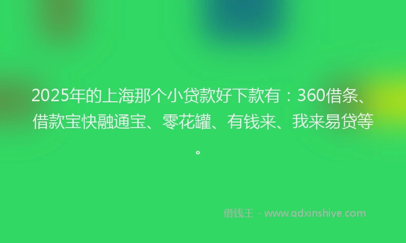 2025年的上海那个小贷款好下款有：360借条、借款宝快融通宝、零花罐、有钱来、我来易贷等。