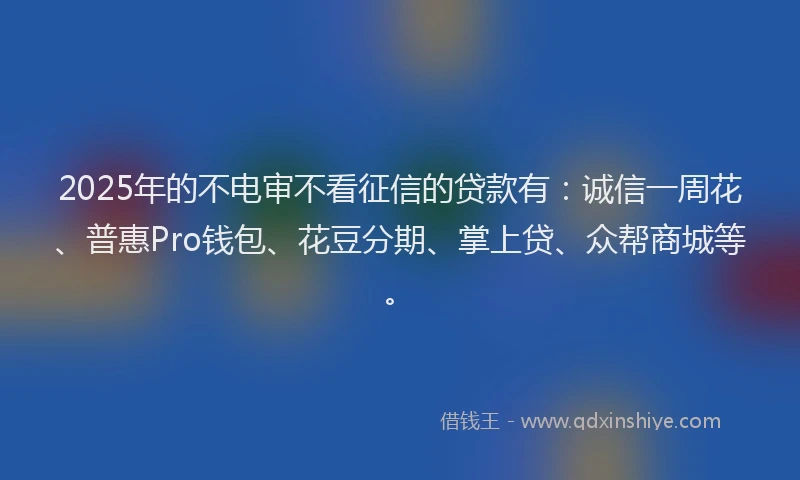 2025年的不电审不看征信的贷款有：诚信一周花、普惠Pro钱包、花豆分期、掌上贷、众帮商城等。