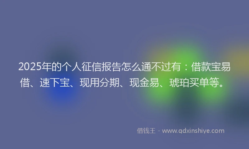 2025年的个人征信报告怎么通不过有：借款宝易借、速下宝、现用分期、现金易、琥珀买单等。