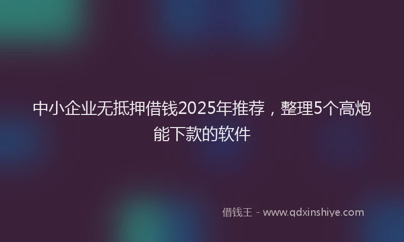 中小企业无抵押借钱2025年推荐，整理5个高炮能下款的软件