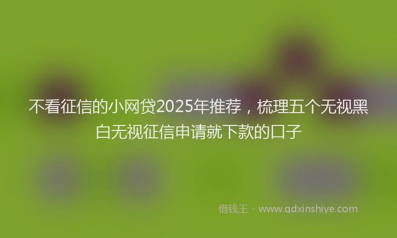 不看征信的小网贷2025年推荐，梳理五个无视黑白无视征信申请就下款的口子