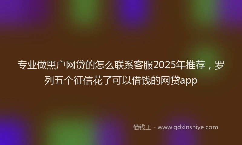 专业做黑户网贷的怎么联系客服2025年推荐，罗列五个征信花了可以借钱的网贷app