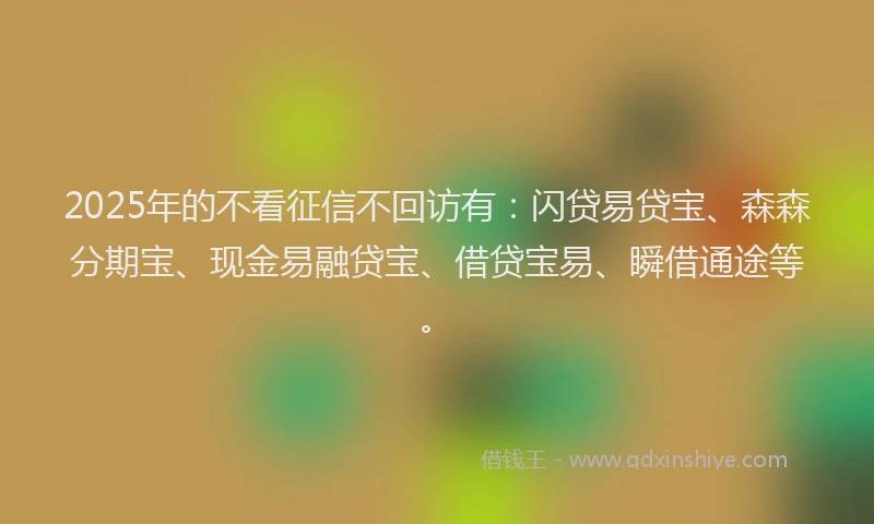 2025年的不看征信不回访有：闪贷易贷宝、森森分期宝、现金易融贷宝、借贷宝易、瞬借通途等。
