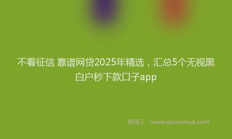 不看征信 靠谱网贷2025年精选，汇总5个无视黑白户秒下款口子app