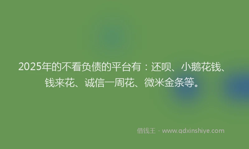 2025年的不看负债的平台有：还呗、小鹅花钱、钱来花、诚信一周花、微米金条等。