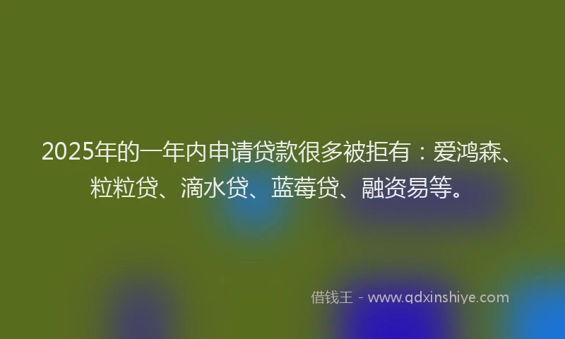 2025年的一年内申请贷款很多被拒有：爱鸿森、粒粒贷、滴水贷、蓝莓贷、融资易等。