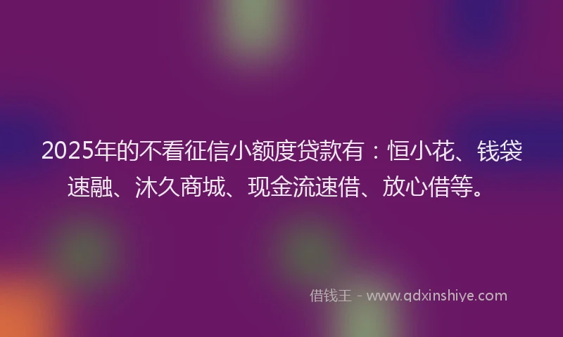 2025年的不看征信小额度贷款有：恒小花、钱袋速融、沐久商城、现金流速借、放心借等。