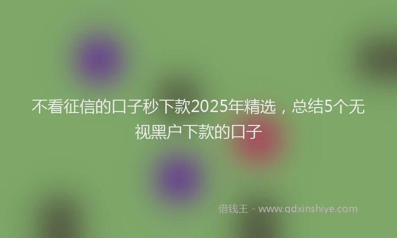 不看征信的口子秒下款2025年精选，总结5个无视黑户下款的口子