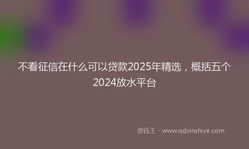 不看征信在什么可以贷款2025年精选，概括五个2024放水平台