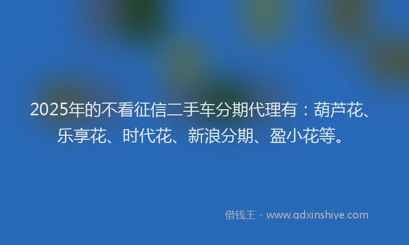 2025年的不看征信二手车分期代理有：葫芦花、乐享花、时代花、新浪分期、盈小花等。