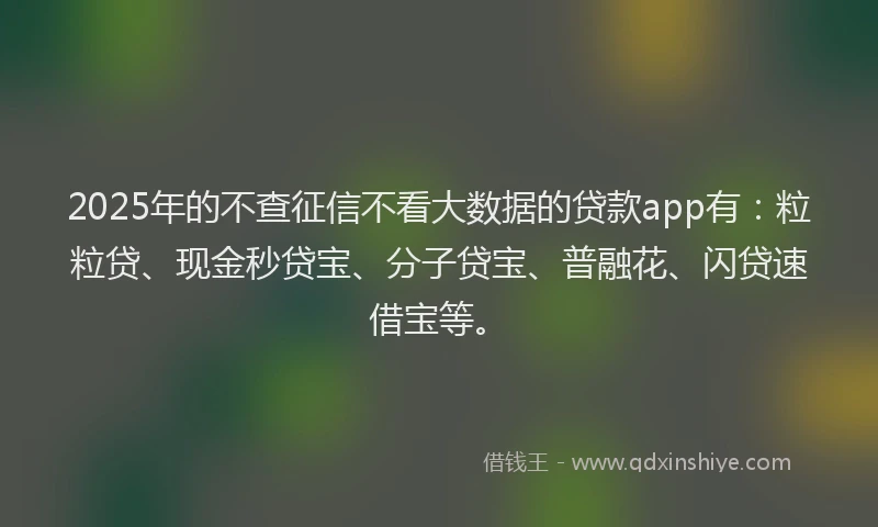 2025年的不查征信不看大数据的贷款app有：粒粒贷、现金秒贷宝、分子贷宝、普融花、闪贷速借宝等。