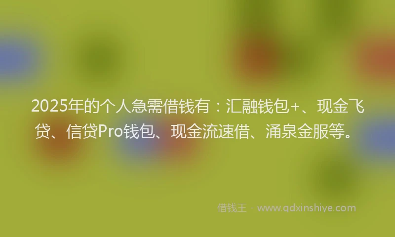 2025年的个人急需借钱有：汇融钱包+、现金飞贷、信贷Pro钱包、现金流速借、涌泉金服等。