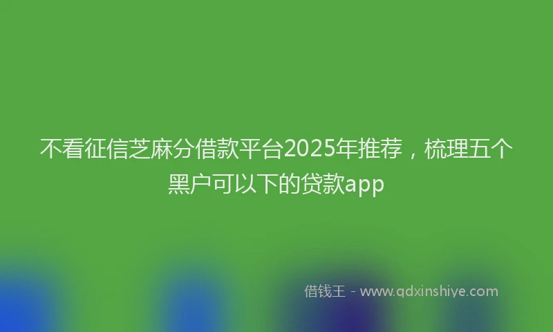 不看征信芝麻分借款平台2025年推荐，梳理五个黑户可以下的贷款app