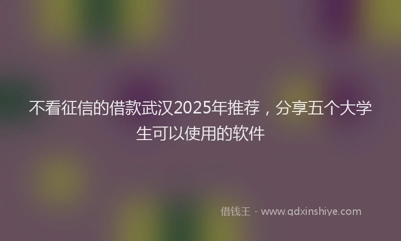 不看征信的借款武汉2025年推荐，分享五个大学生可以使用的软件