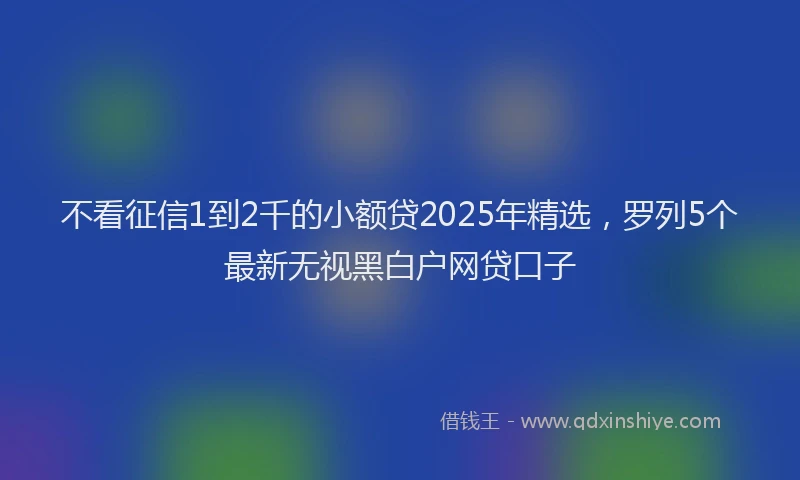 不看征信1到2千的小额贷2025年精选，罗列5个最新无视黑白户网贷口子