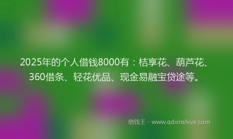2025年的个人借钱8000有：桔享花、葫芦花、360借条、轻花优品、现金易融宝贷途等。
