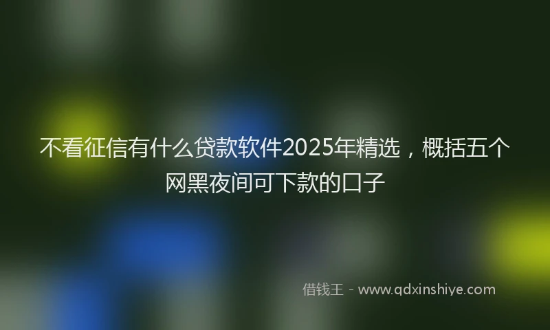 不看征信有什么贷款软件2025年精选，概括五个网黑夜间可下款的口子
