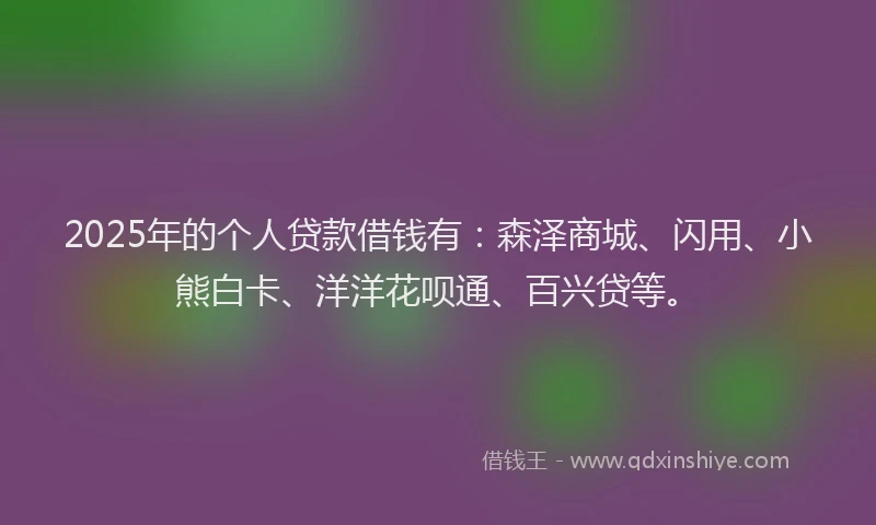 2025年的个人贷款借钱有：森泽商城、闪用、小熊白卡、洋洋花呗通、百兴贷等。