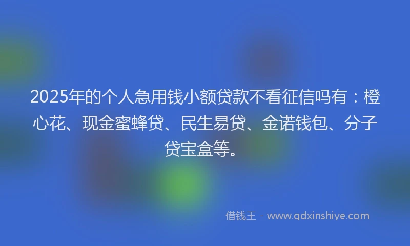 2025年的个人急用钱小额贷款不看征信吗有：橙心花、现金蜜蜂贷、民生易贷、金诺钱包、分子贷宝盒等。