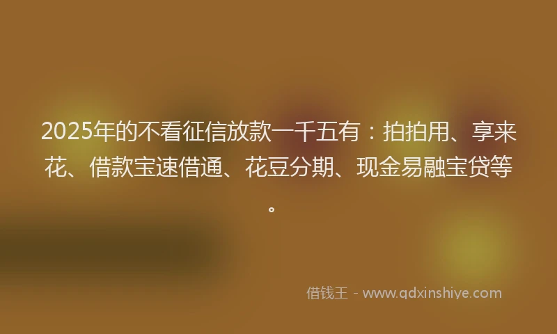 2025年的不看征信放款一千五有：拍拍用、享来花、借款宝速借通、花豆分期、现金易融宝贷等。