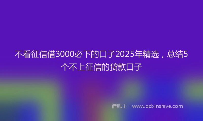 不看征信借3000必下的口子2025年精选，总结5个不上征信的贷款口子