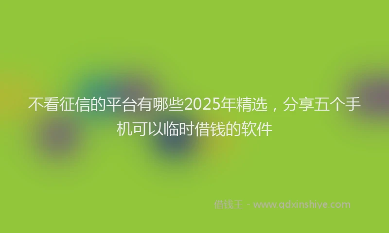 不看征信的平台有哪些2025年精选，分享五个手机可以临时借钱的软件