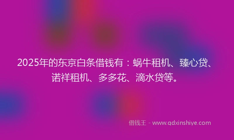2025年的东京白条借钱有：蜗牛租机、臻心贷、诺祥租机、多多花、滴水贷等。