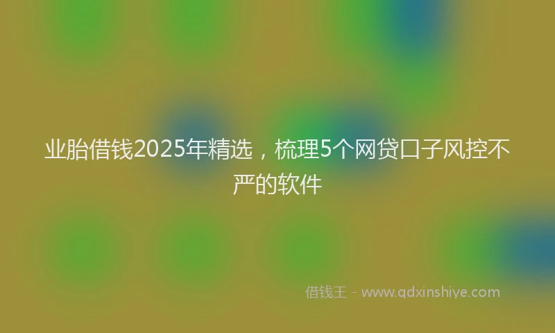 业胎借钱2025年精选，梳理5个网贷口子风控不严的软件