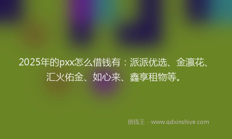 2025年的pxx怎么借钱有：派派优选、金瀛花、汇火佑金、如心来、鑫享租物等。