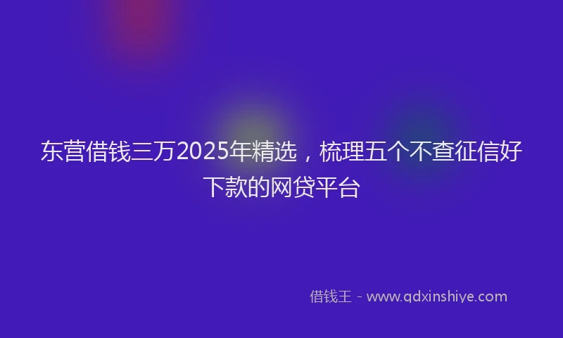 东营借钱三万2025年精选，梳理五个不查征信好下款的网贷平台