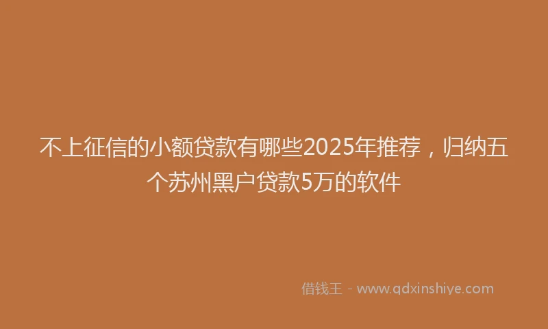 不上征信的小额贷款有哪些2025年推荐，归纳五个苏州黑户贷款5万的软件