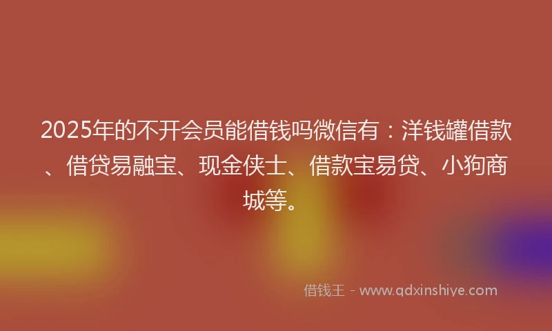 2025年的不开会员能借钱吗微信有：洋钱罐借款、借贷易融宝、现金侠士、借款宝易贷、小狗商城等。