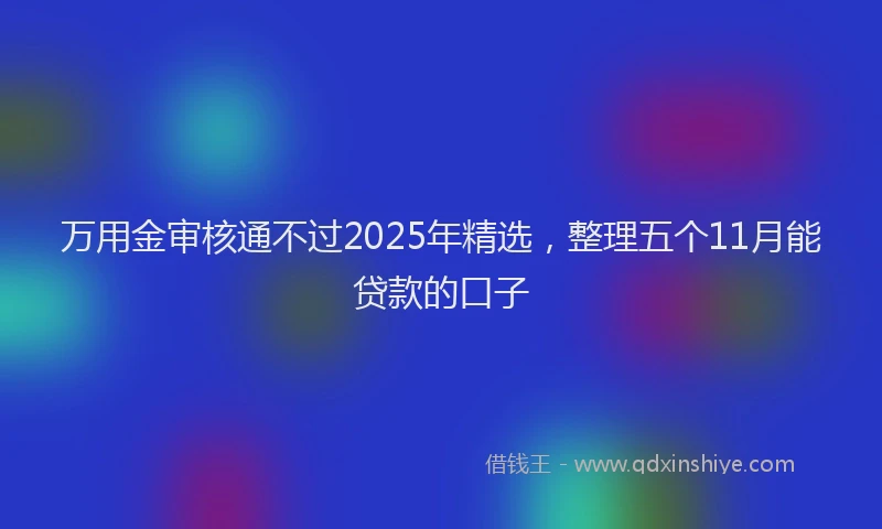 万用金审核通不过2025年精选，整理五个11月能贷款的口子