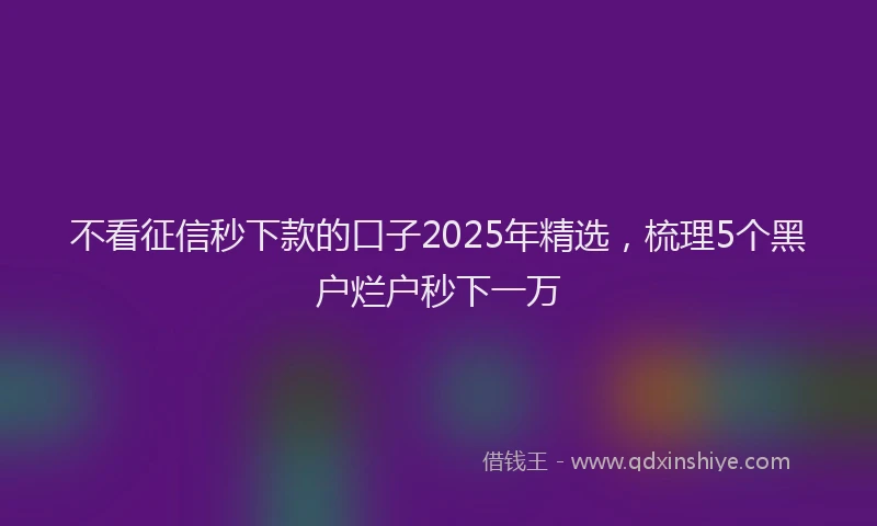 不看征信秒下款的口子2025年精选，梳理5个黑户烂户秒下一万
