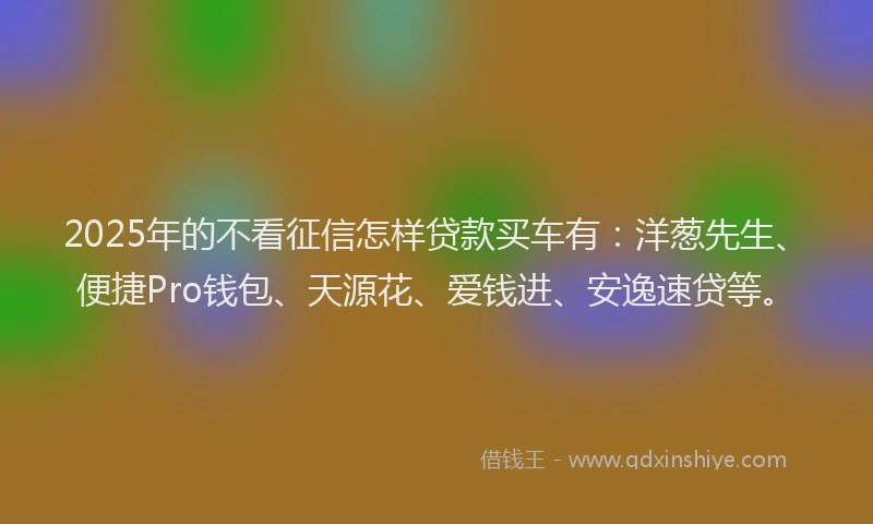 2025年的不看征信怎样贷款买车有：洋葱先生、便捷Pro钱包、天源花、爱钱进、安逸速贷等。