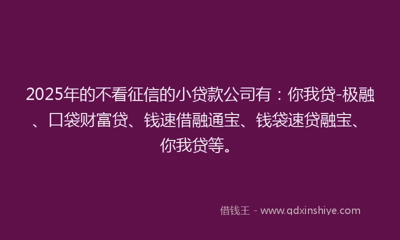 2025年的不看征信的小贷款公司有：你我贷-极融、口袋财富贷、钱速借融通宝、钱袋速贷融宝、你我贷等。