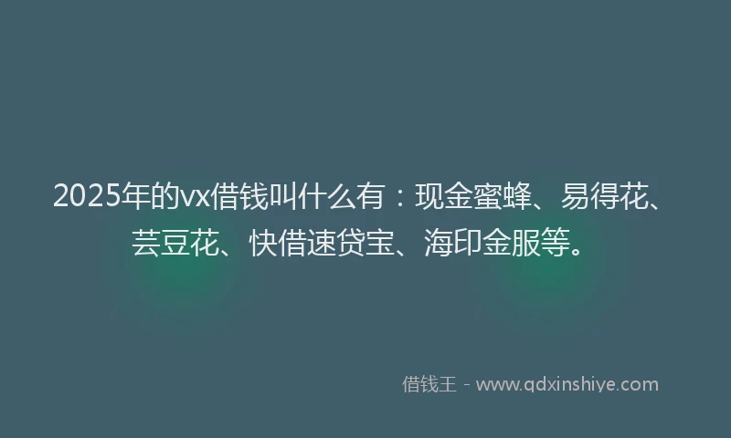 2025年的vx借钱叫什么有：现金蜜蜂、易得花、芸豆花、快借速贷宝、海印金服等。