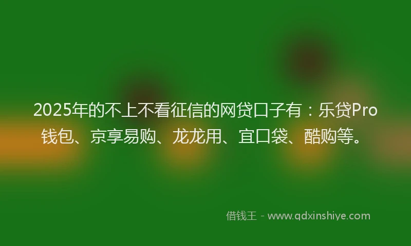 2025年的不上不看征信的网贷口子有：乐贷Pro钱包、京享易购、龙龙用、宜口袋、酷购等。