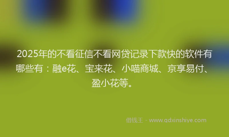 2025年的不看征信不看网贷记录下款快的软件有哪些有：融e花、宝来花、小喵商城、京享易付、盈小花等。