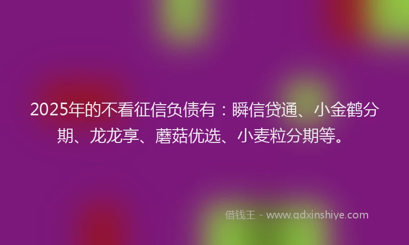 2025年的不看征信负债有：瞬信贷通、小金鹤分期、龙龙享、蘑菇优选、小麦粒分期等。