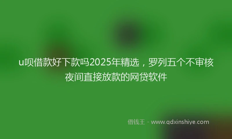 u呗借款好下款吗2025年精选，罗列五个不审核夜间直接放款的网贷软件