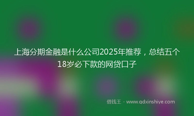 上海分期金融是什么公司2025年推荐，总结五个18岁必下款的网贷口子
