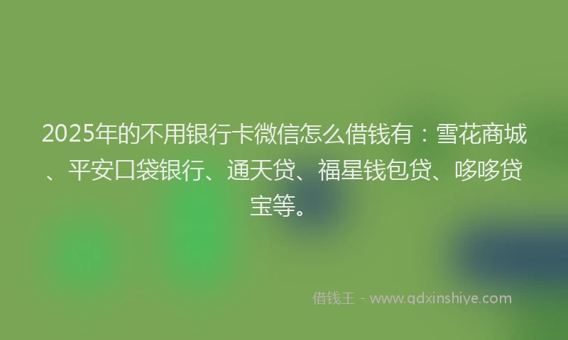 2025年的不用银行卡微信怎么借钱有：雪花商城、平安口袋银行、通天贷、福星钱包贷、哆哆贷宝等。