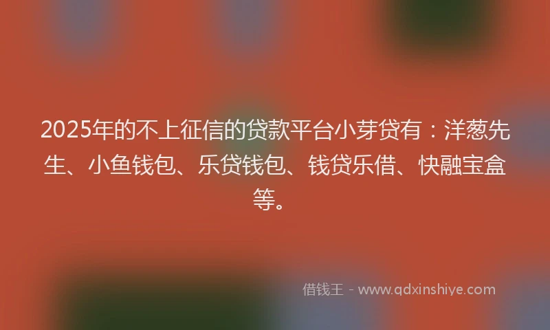 2025年的不上征信的贷款平台小芽贷有：洋葱先生、小鱼钱包、乐贷钱包、钱贷乐借、快融宝盒等。