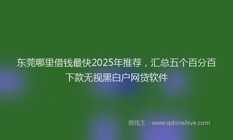 东莞哪里借钱最快2025年推荐，汇总五个百分百下款无视黑白户网贷软件